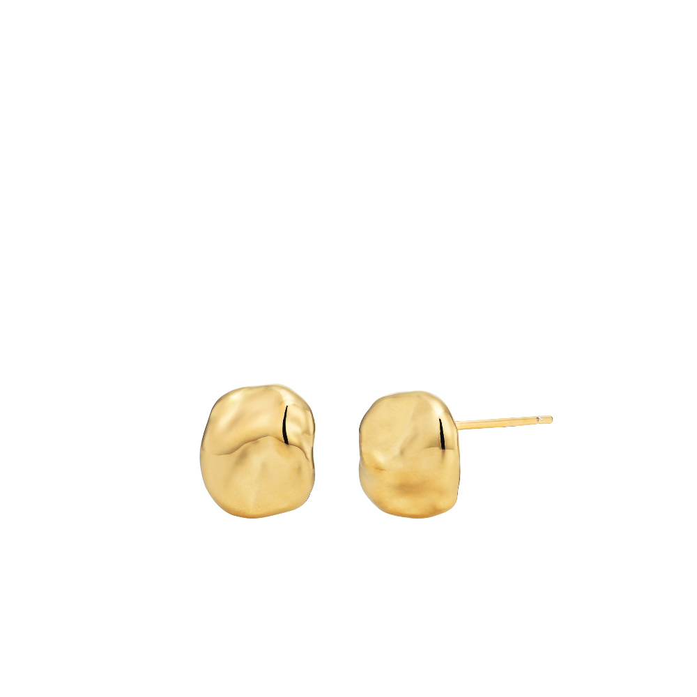 OZEL [Celeb Pick] Silver925 Natural Shape Coin Earrings PS064E Main Photography