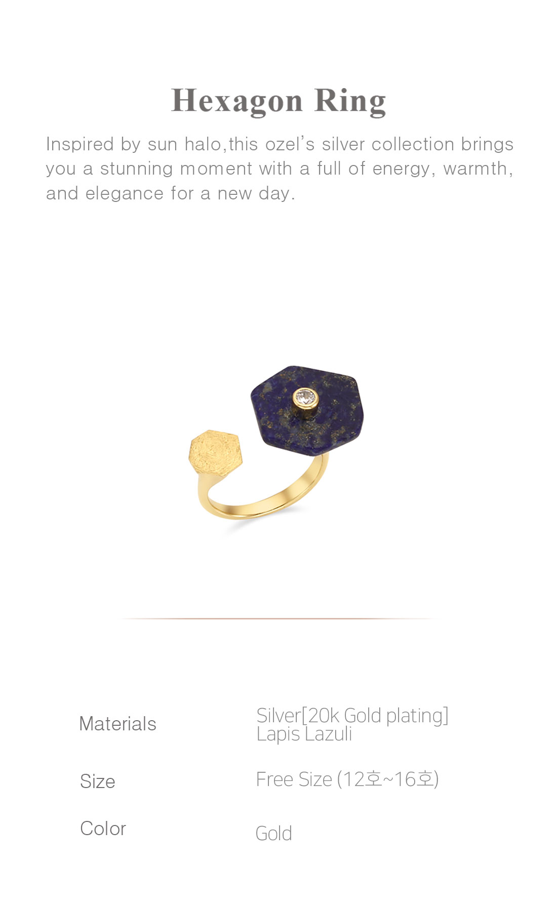 Silver925 Hexagon Ring PS087R Detail Cut