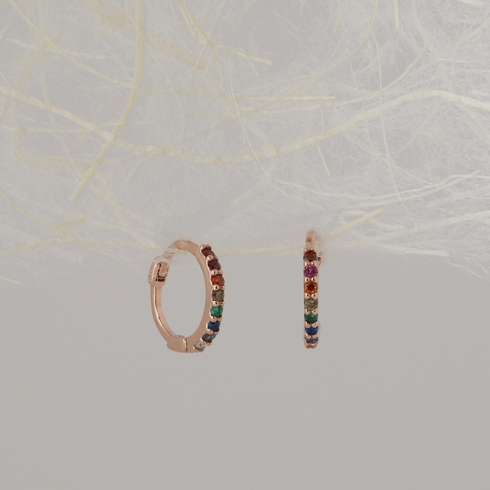 OZEL Silver925 Multi Rainbow CZ Huggie Earrings PS130E Main Photography