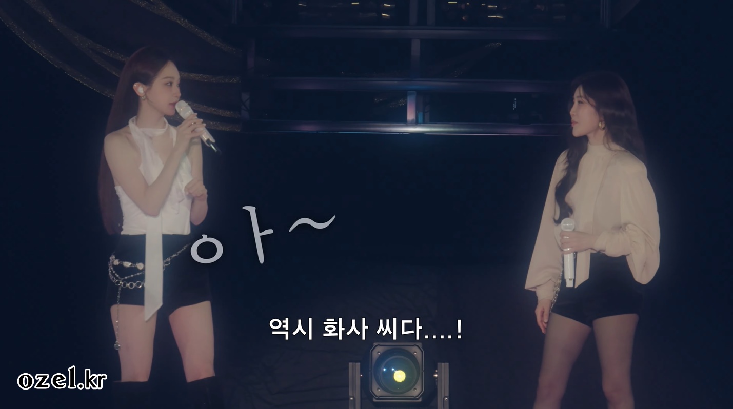 다비치 이해리 귀걸이 - 강민경 공식 유튜브 오젤(Ozel) 오젤 귀걸이 착용 화보 11