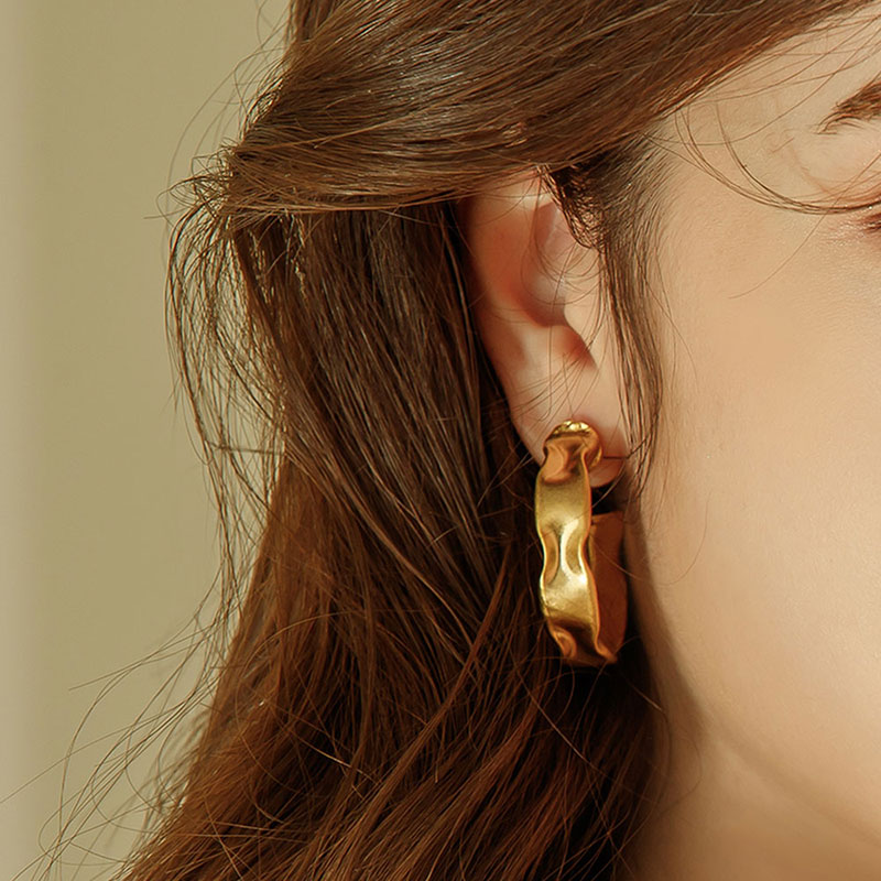 Lucir Earrrings PB029E