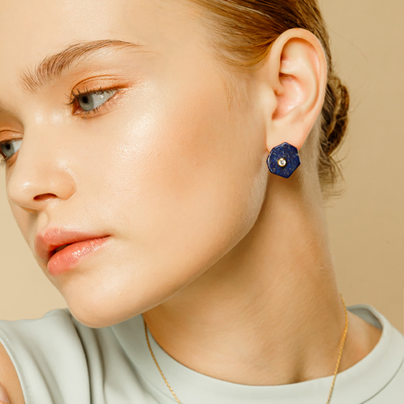 Silver925 Hexagon I Earrings PS087-1E