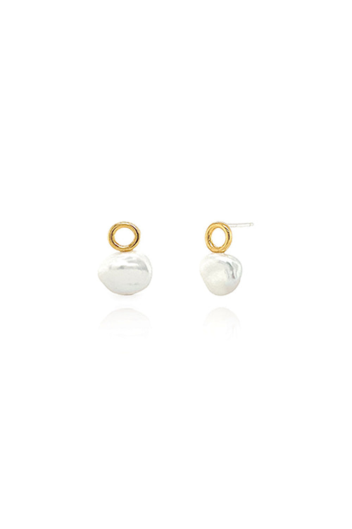 Silver925 Fog Earrings PS122E