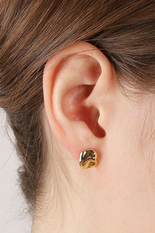Silver925 Natural Shape Coin Earrings PS064E