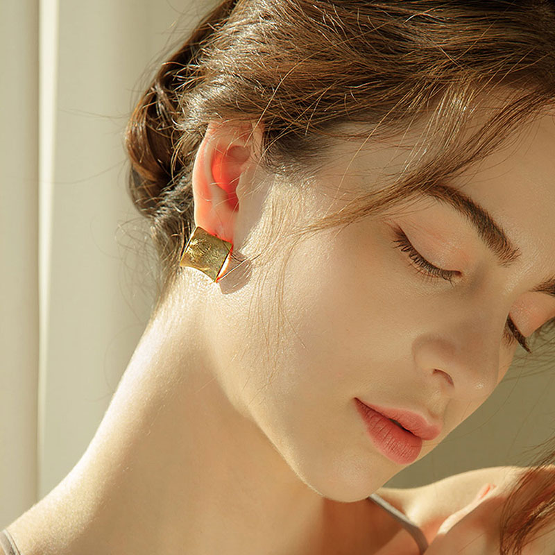 Vive Earrings PB021E