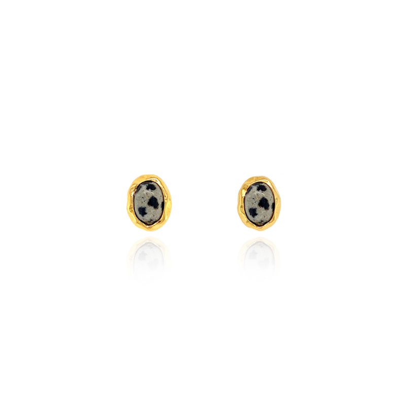 Silver925 Oval Stone Earrings PS015E