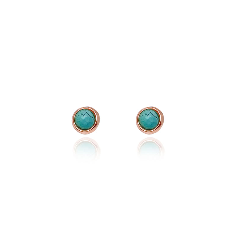 Silver925 Ozel Birthstone Collection Earrings OZ-SV0041E