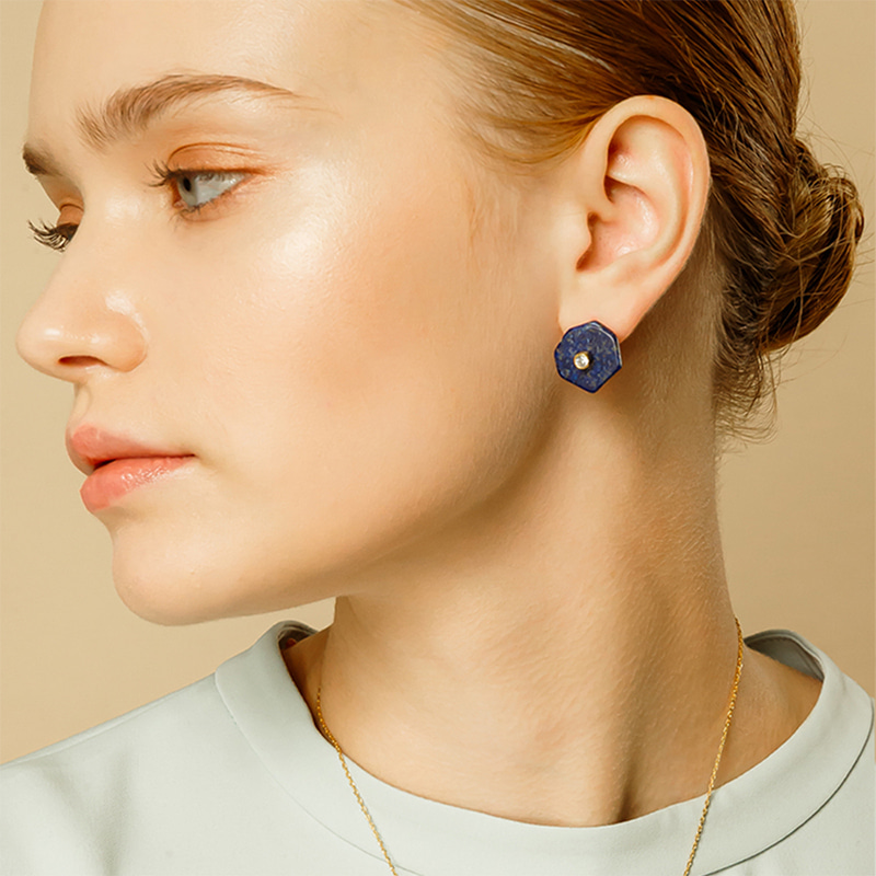 Silver925 Hexagon I Earrings PS087-1E